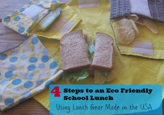 EcoFriendly School Lunch
