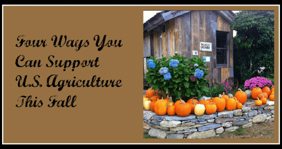 Fall is the perfect time of year to get in touch with your local farming scene - Four ways to Support US Agricuture and have fun with your family.