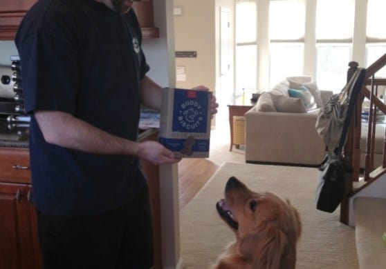 Pet Nuturition with USALoveList