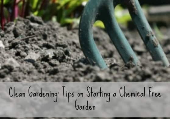 Clean gardening with words
