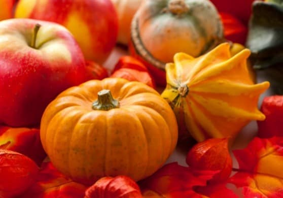 Thanksgiving Table