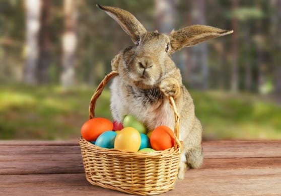 American Made Easter Treats