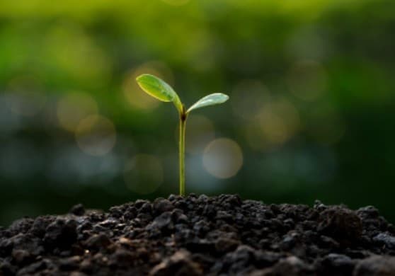 Made in the USA Gardening Supplies via USALoveList.com
