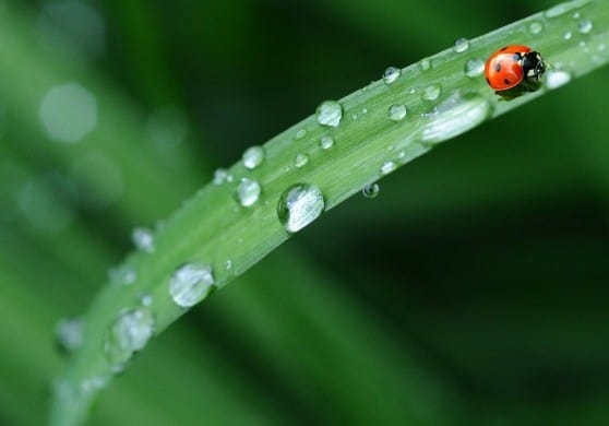 Organic products we love, Made in the USA