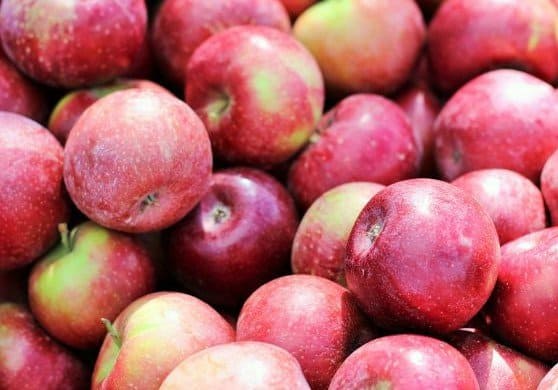 Apple cider recipe