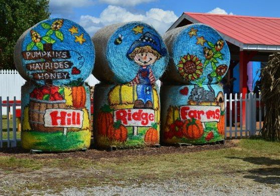 Support American Agriculture Fun family fall activities