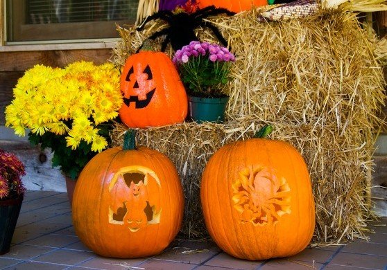 Eco friendly Halloween decorations