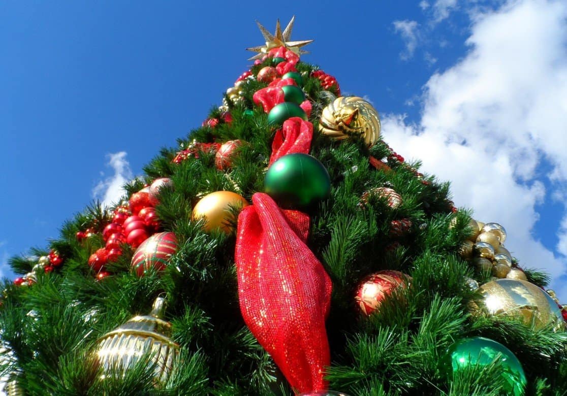 christmas-tree-227014_1280