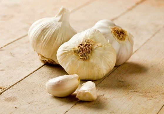 National Garlic Month: Garlic list for foodies