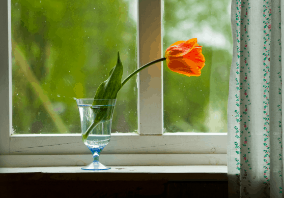 spring-organizing