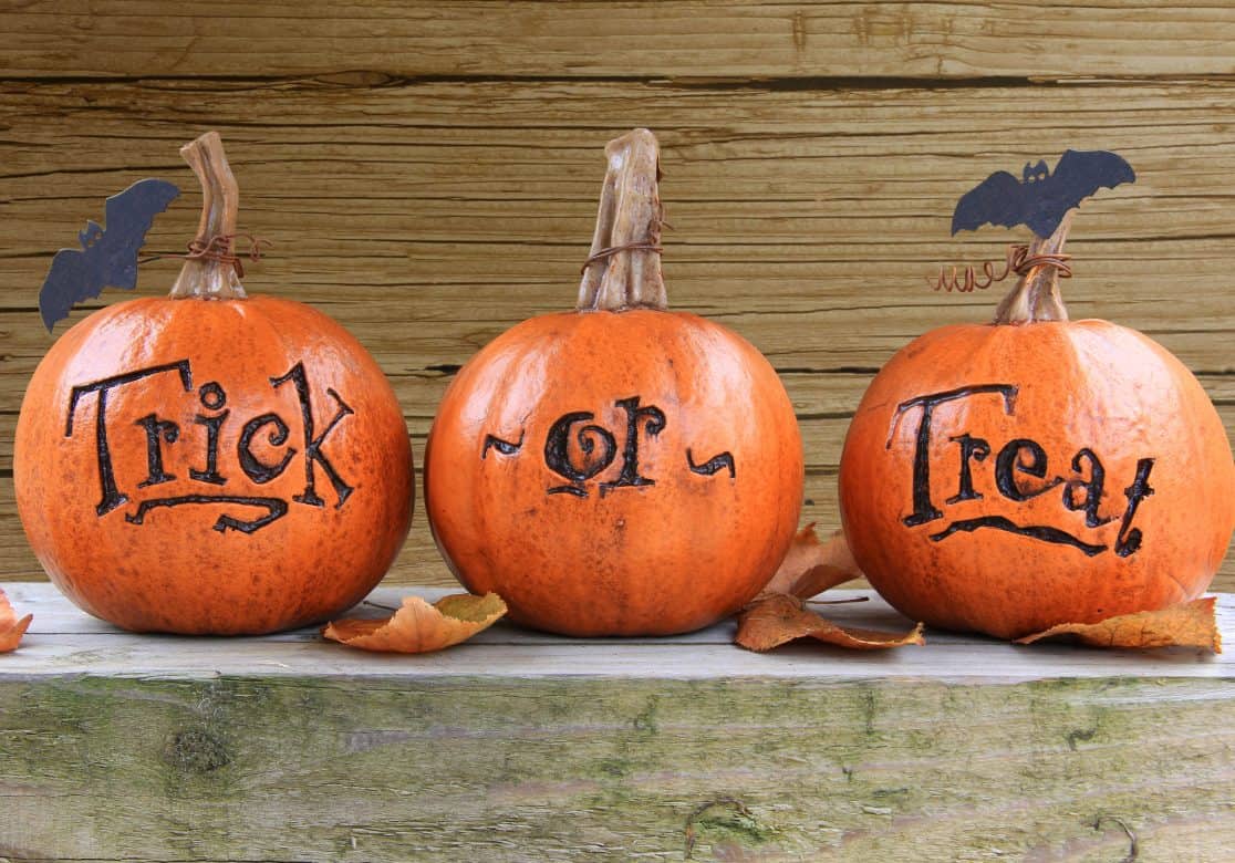 Made in USA Halloween Treats