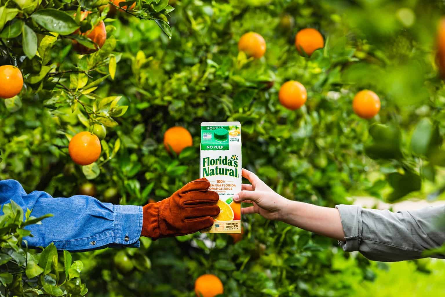 Why You Should Buy Orange Juice Made in the USA, especially now • USA