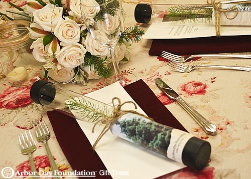 Gift Trees |Made in USA Eco friendly wedding ideas 