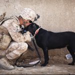 Send American-Made Military Care Packages To Show Your Gratitude