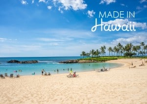 Stuff We Love, Made in Hawaii