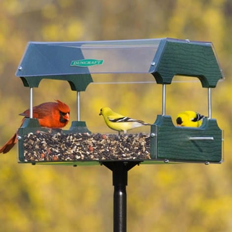 Feeding wild birds: Duncraft Eco-Strong platform and bird feeder | Made in USA bird feeder