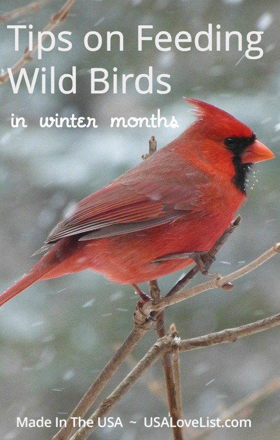 Feeding wild birds in winter : tips and American made bird feeder product selections