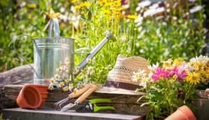 Garden tools: Gardening Supplies Source List