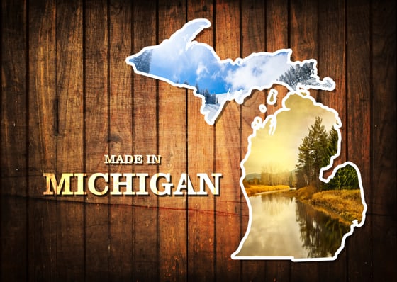 Image result for made in Michigan