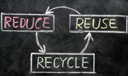 Reduce REUSE Recycle: Five American Companies Turning Trash Into Treasure