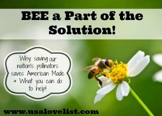 Bee a Part of the Solution! Help Save Pollinators!