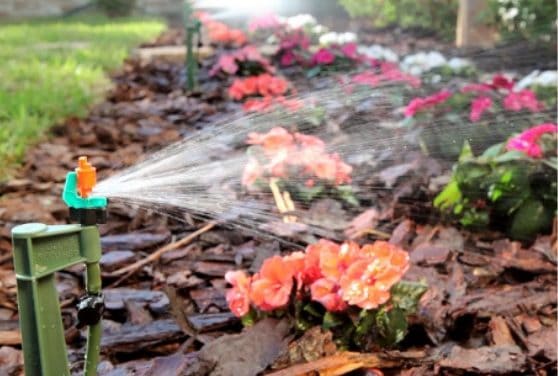 Giveaway: Mister Landscaper EcoFriendly Micro Sprinkler Irrigation Kits