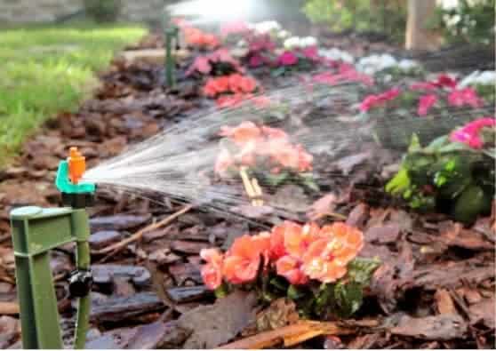 Giveaway: Mister Landscaper EcoFriendly Micro Sprinkler Irrigation Kits