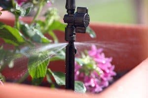 Mister Landscaper | Made in USA irrigation system | Pot irrigation | Container gardening