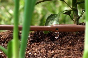 Mister Landscaper Drip Irrigation System for row gardens | Made in USA