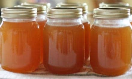 Preserve Summer’s Bounty with Made In USA Canning Supplies, Dehydrators, and More