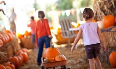 5 Tradition Worthy Family Halloween Activities