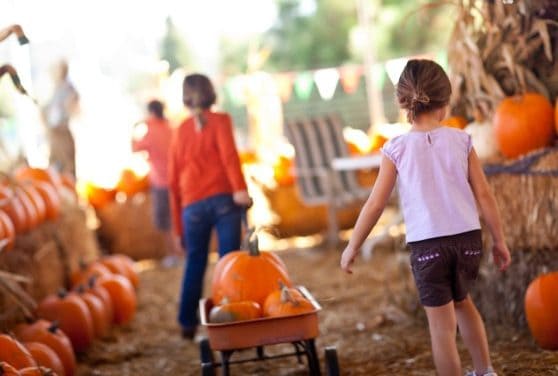 5 Tradition Worthy Family Halloween Activities