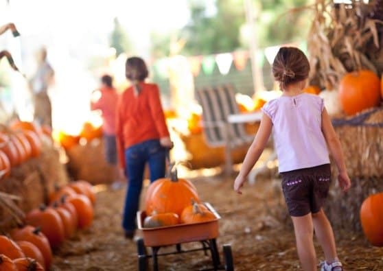 5 Tradition Worthy Family Halloween Activities