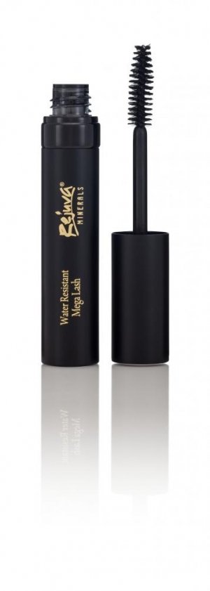 Soy Free, Gluten Free, GMO Free, Mascara From Rejuva Minerals - 15 Percent off with Code love via USALoveList.com