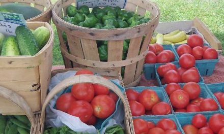 5 Reasons Why Every Community Needs a Farmers’ Market