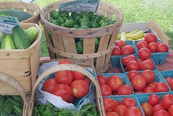 5 Reasons Why Every Community Needs a Farmers’ Market