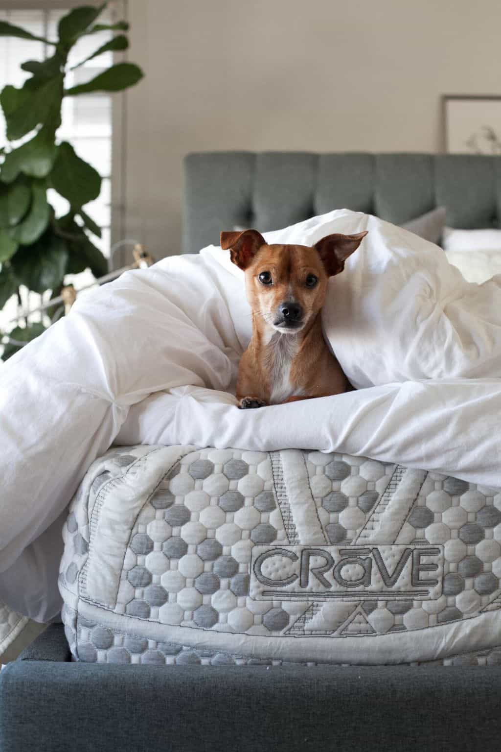 Giveaway: Win an American Made Eco-Friendly Mattress from ...