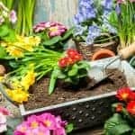 American Made Gifts for Gardeners