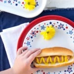 Nine Sources for Patriotic Items Made in the USA for Memorial Day, 4th of July, and All Year Round