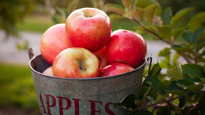 Homemade Apple Cider With An American Made Juicer