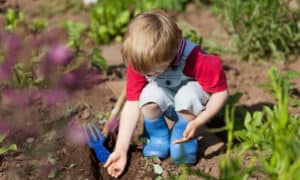 gardening with kids featuring American made products
