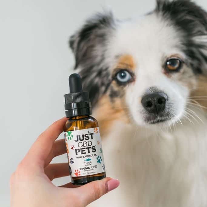 JustCBD for Pets - CBD Hemp Extract Oil for Pets - Tuna Flavor - 25% off discount code USALOVE. - JustCBDStore.com Made in USA CBD Products