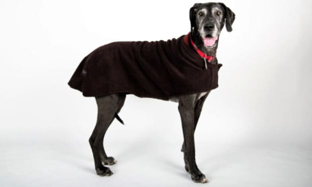 Made in USA Dog Coats: Introducing MountainMuttDogCoats Boulder®