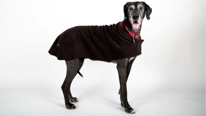 Made in USA Dog Coats: Introducing MountainMuttDogCoats Boulder®