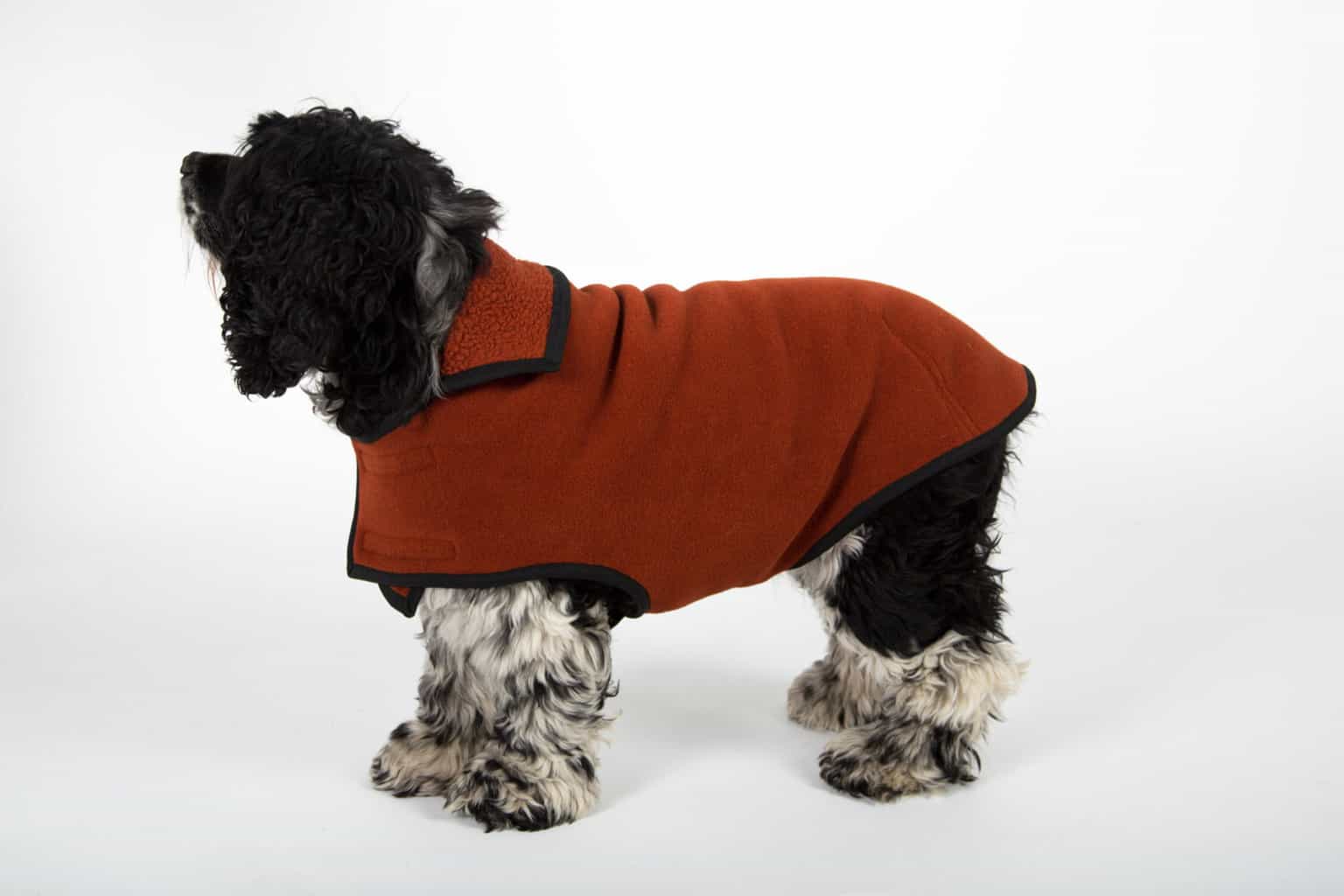 Made in USA Dog Supplies A USA Love List Source Guide • USA Love List