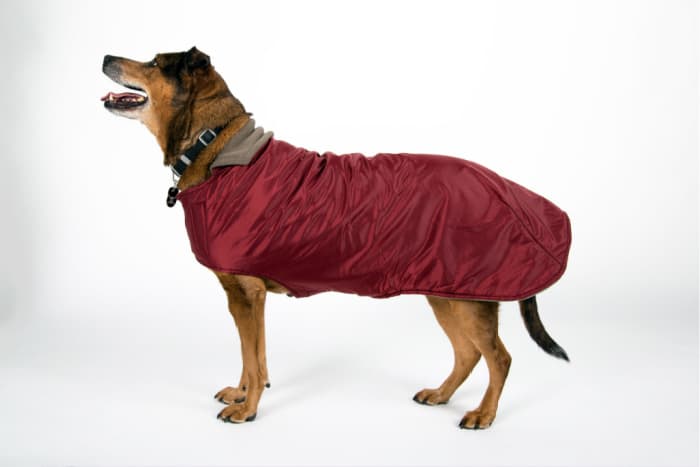 Made in USA Dog Coat: MountaninMuttDogCoats® The Boulder Coat