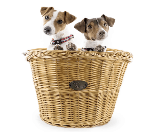 Made in USA Dog Supplies: Beach & Dog Co. bike baskets for small dogs. 