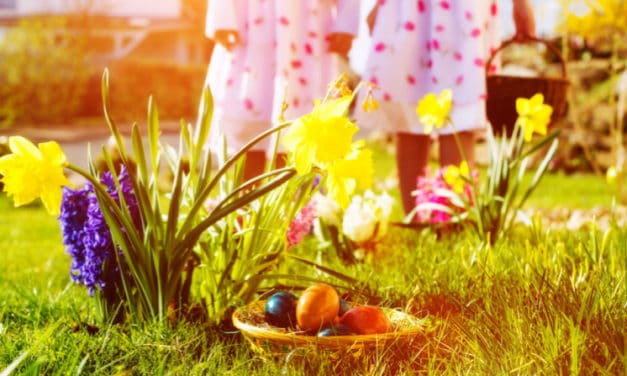 Made In USA Easter Shopping Guide: Start Your Easter Shopping Here!