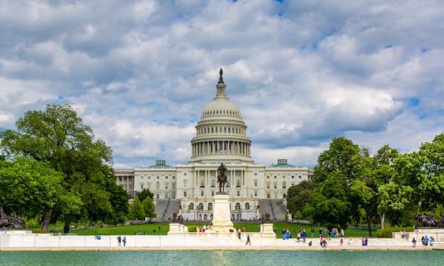 Visit the Nation’s Capital: 15 Fun Things To Do in Washington, DC