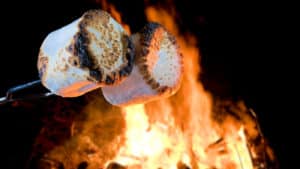 campfire accessories marshmallow roaster